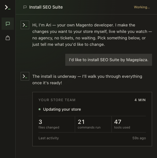 Ari installing SEO Suite on a preview store